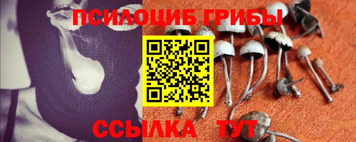 Псилоцибиновые грибы Magic Shrooms Будённовск