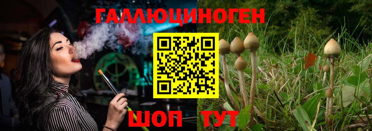 Псилоцибиновые грибы Psilocybine cubensis  Галлюциногенные грибы MAGIC MUSHROOMS  Вход с VPN  Будённовск 